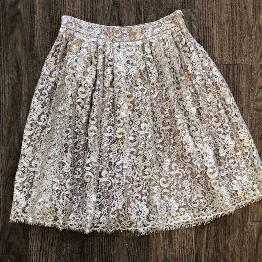 Anthro metallic lace skirt